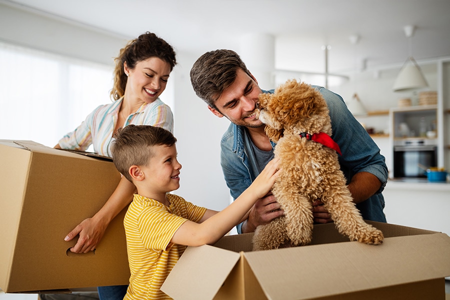 How to Move with Pets